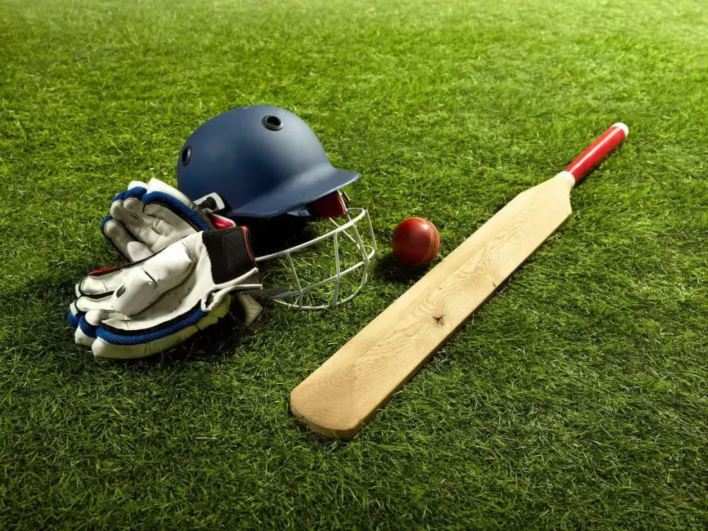 Backyard cricket gear: Where Every Garden Becomes a Stadium